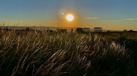 Les comptes rendus du conseil